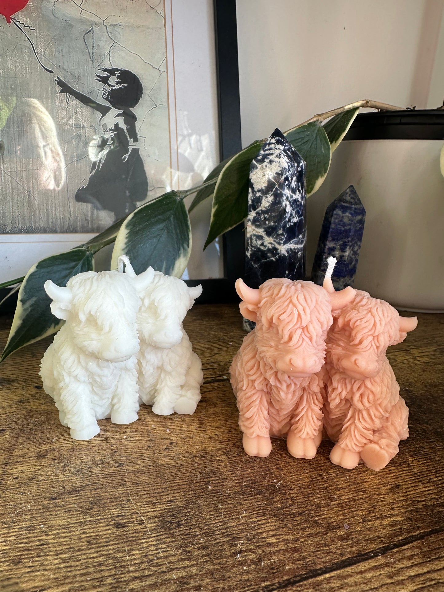 Mini cow friends