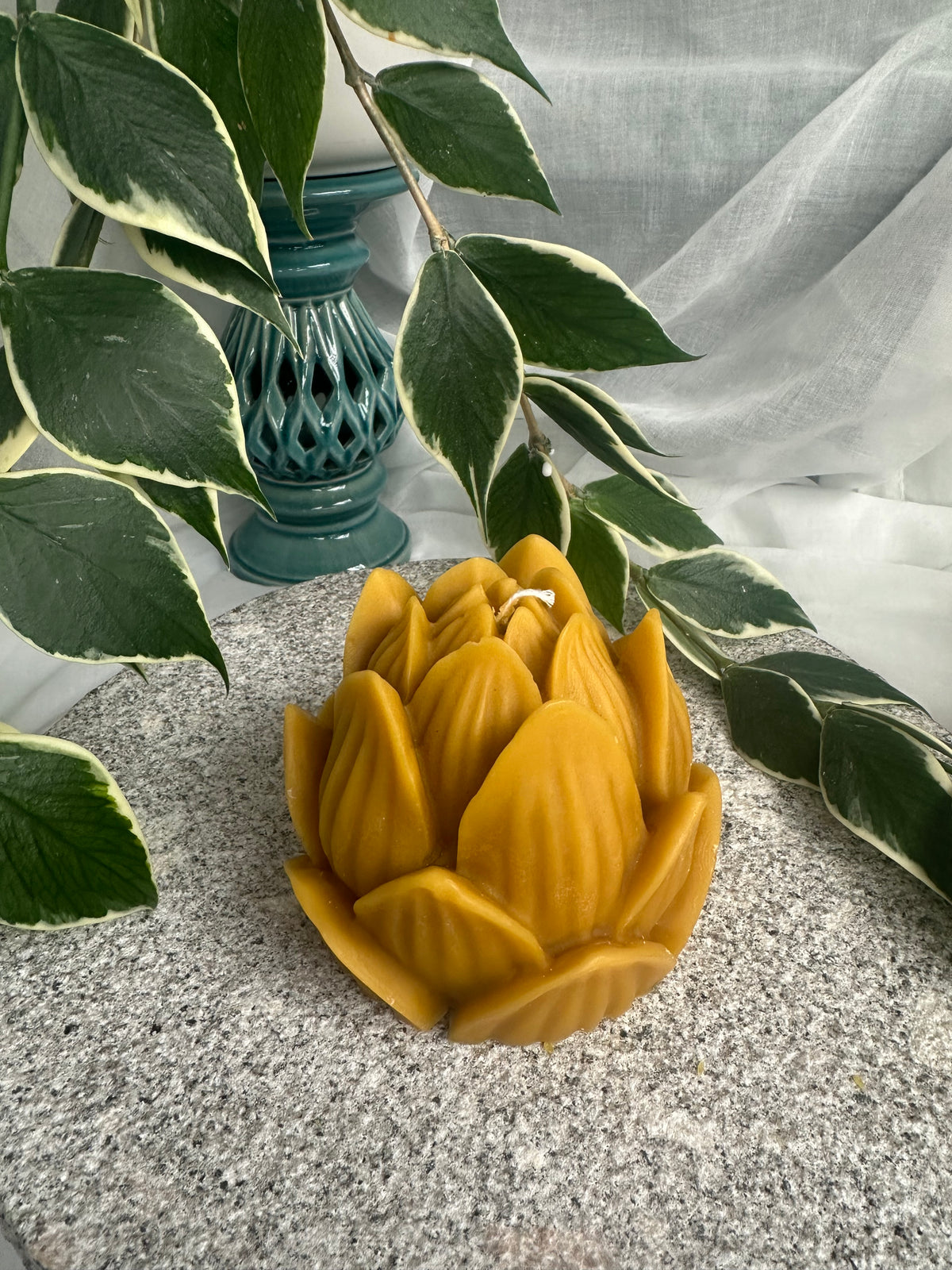Beeswax Lotus
