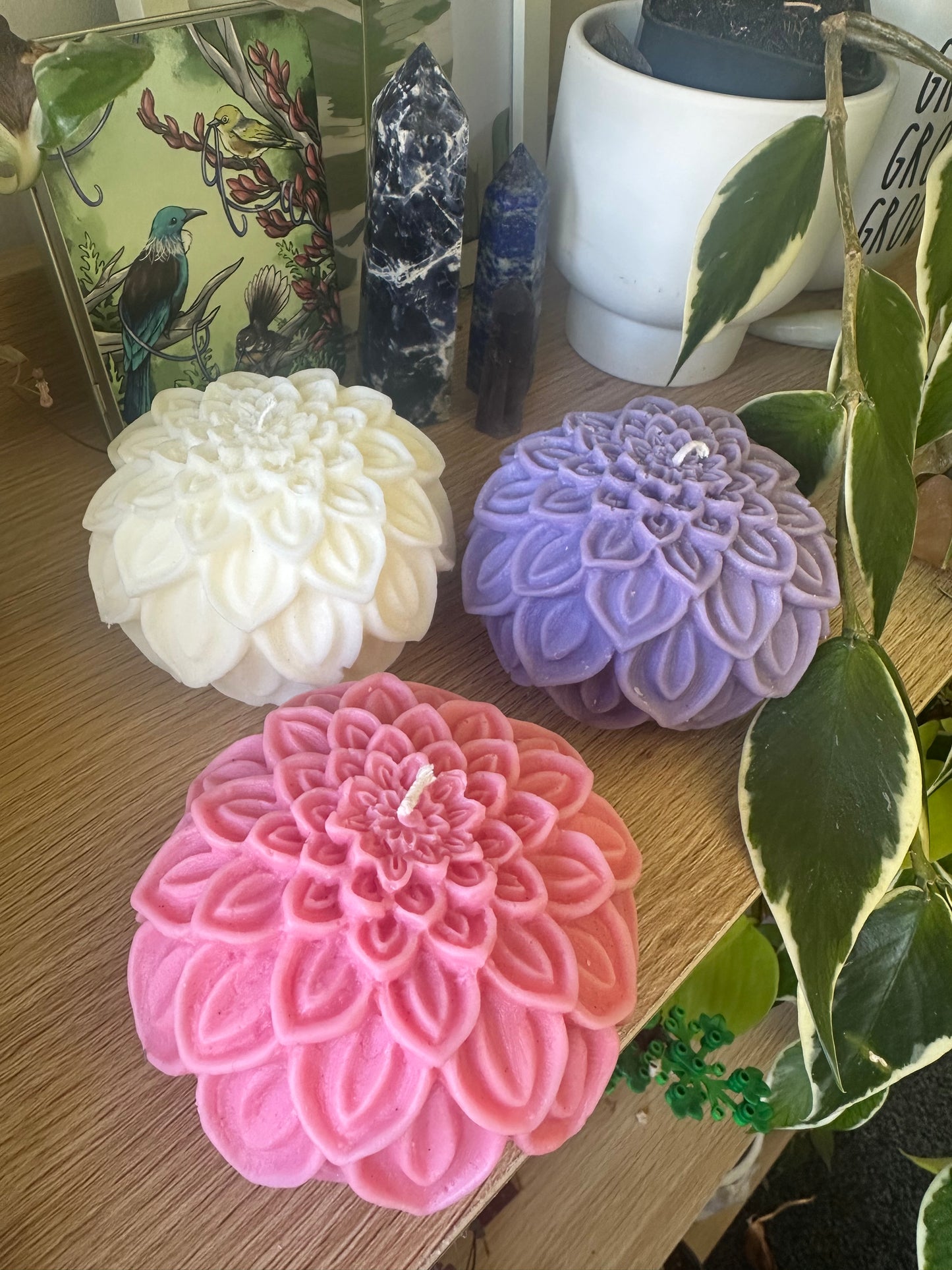 Dahlia ball