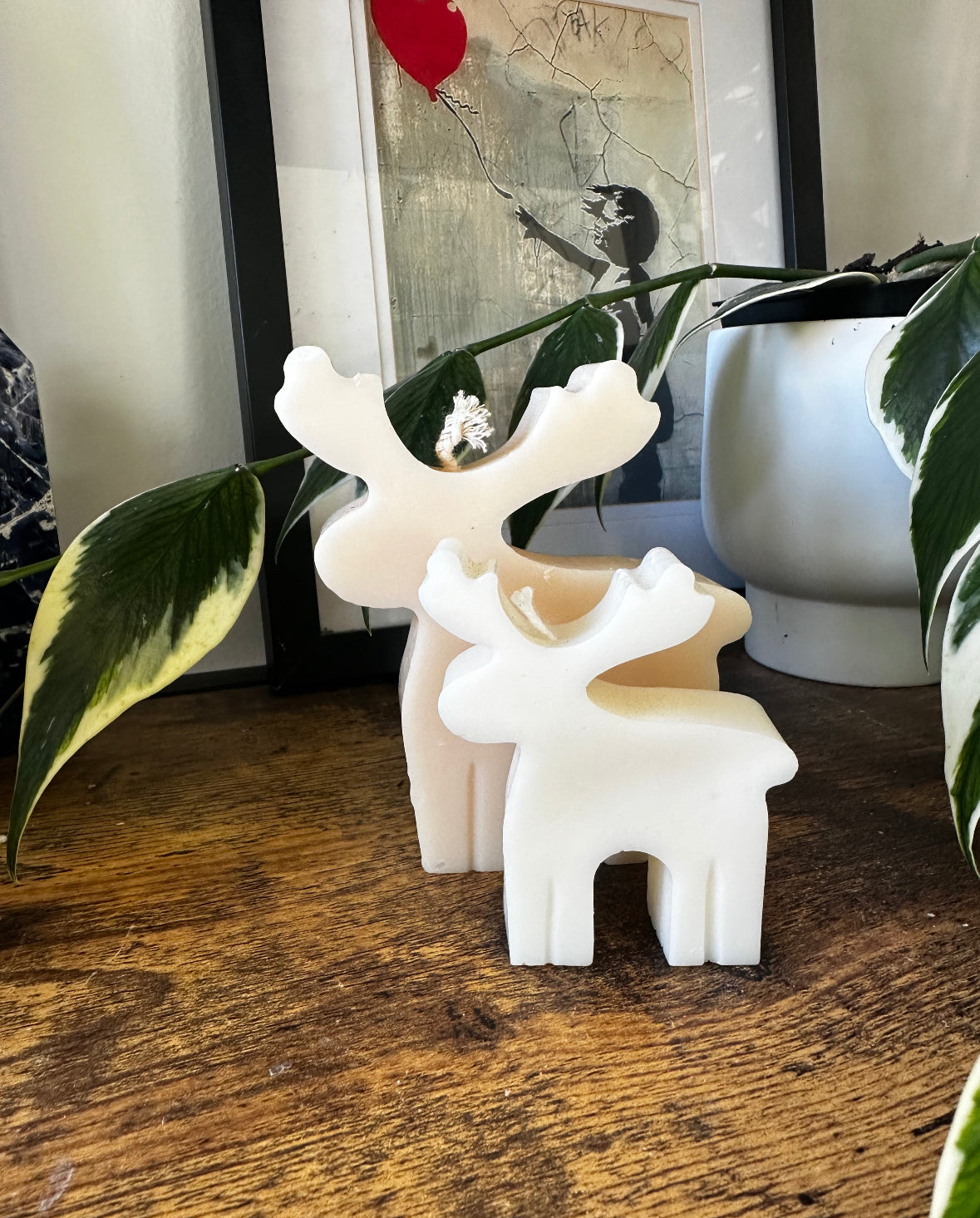 Set of Reindeer