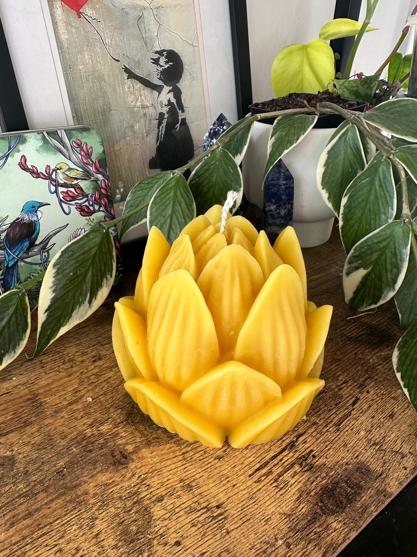 Beeswax Lotus