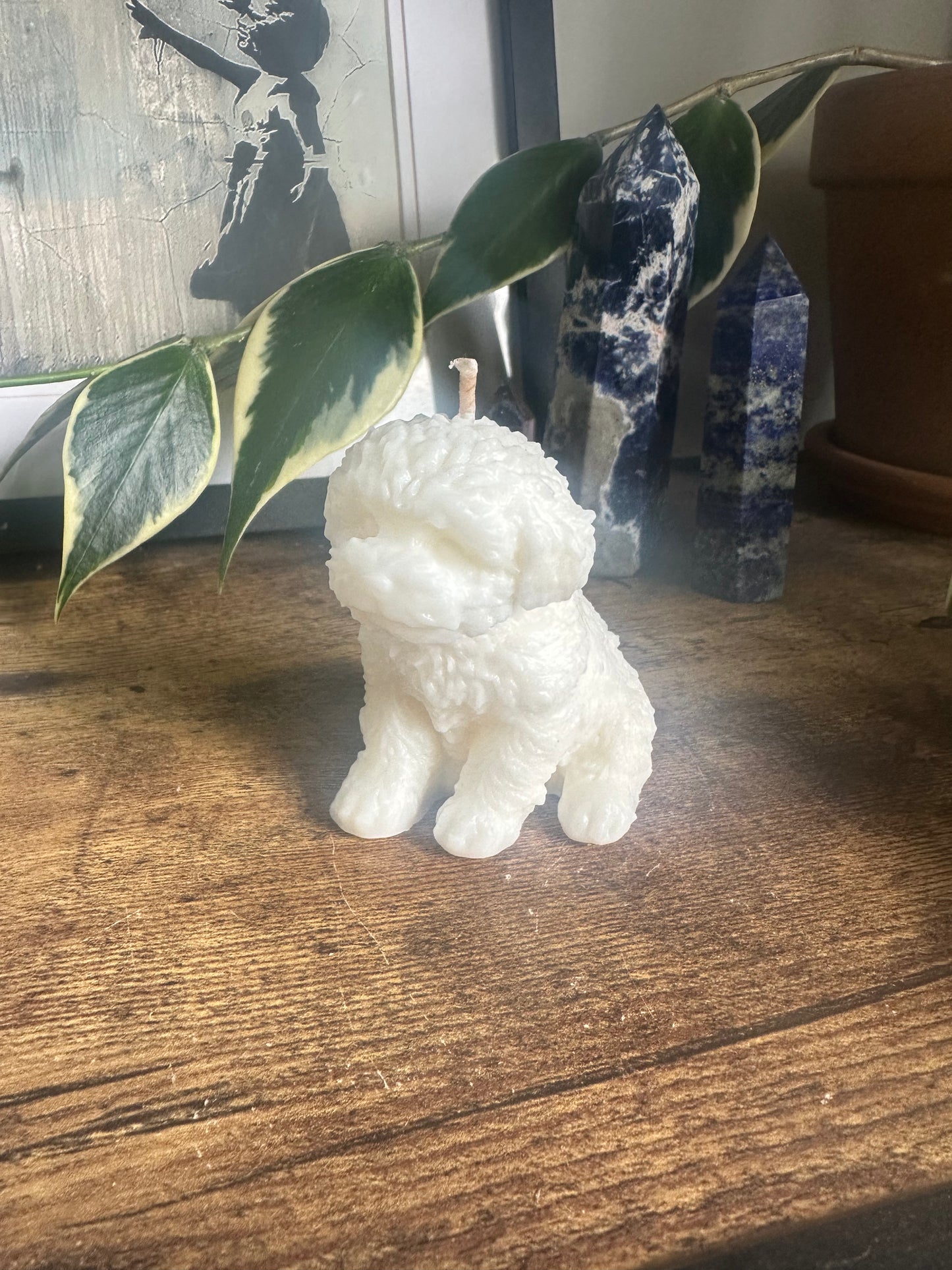 Caboodle, mini