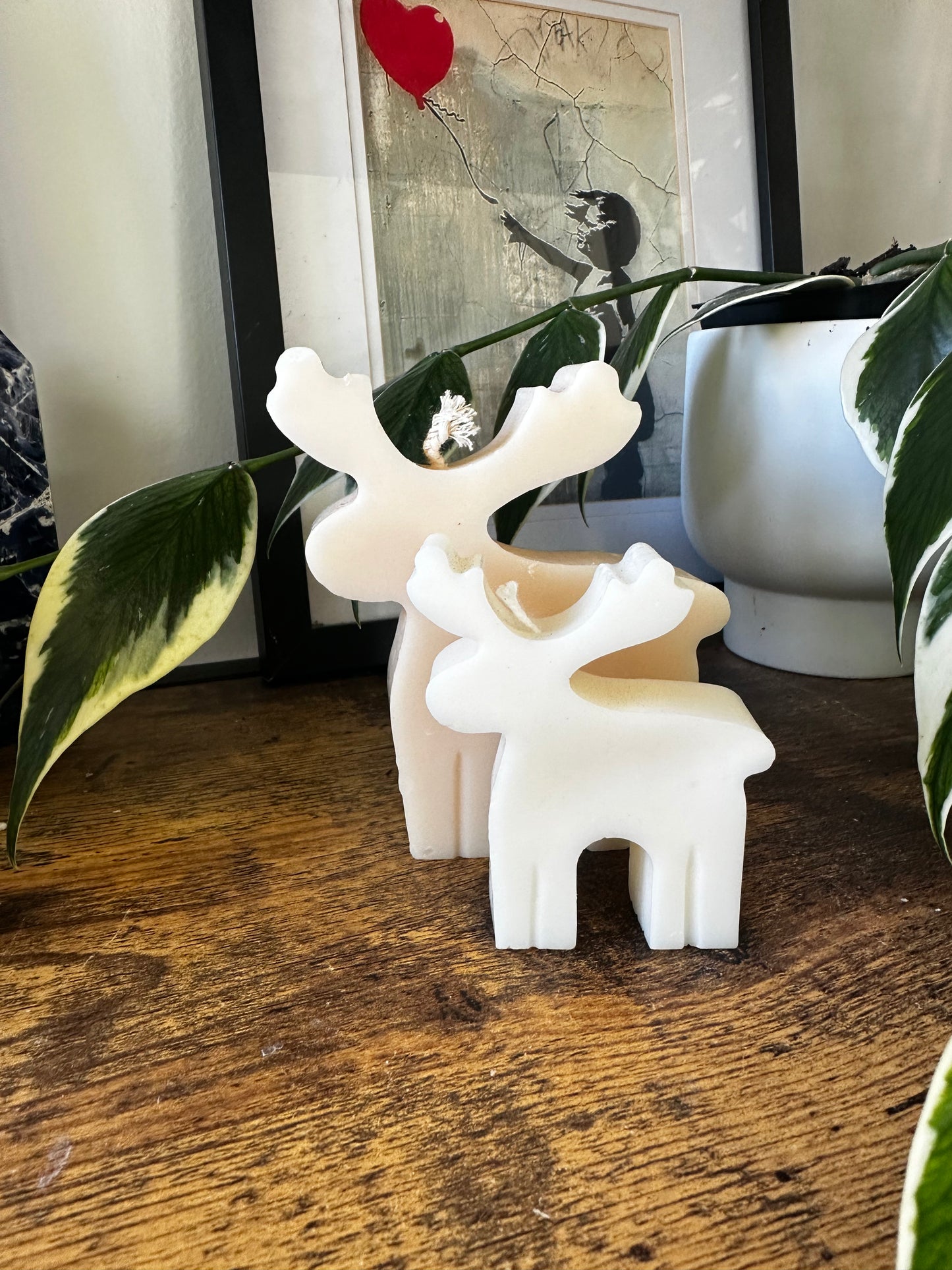 Reindeer, large