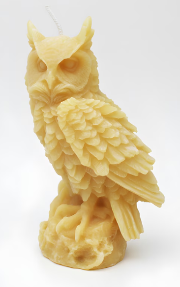 Owl, Large