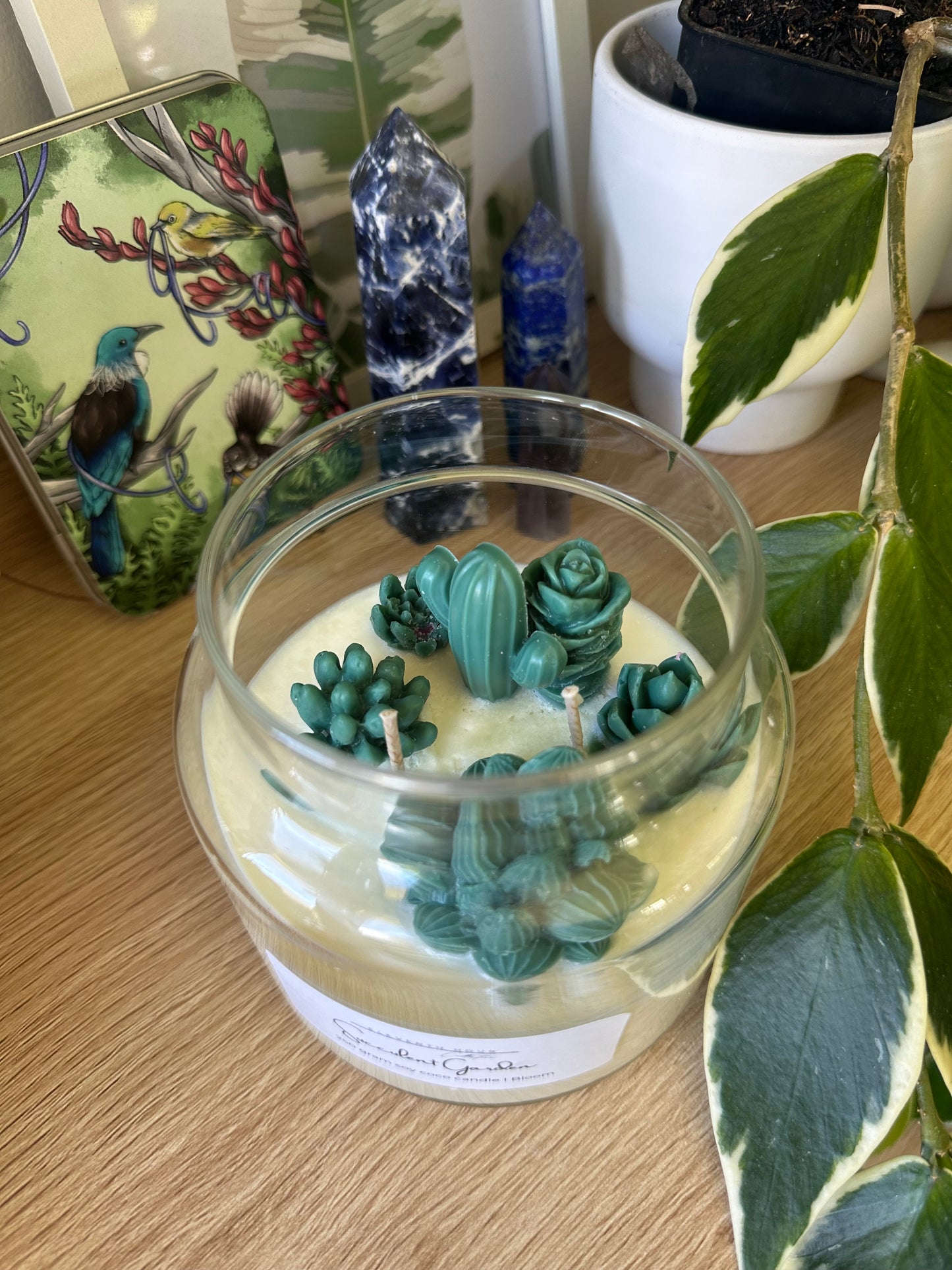 Succulent Candles