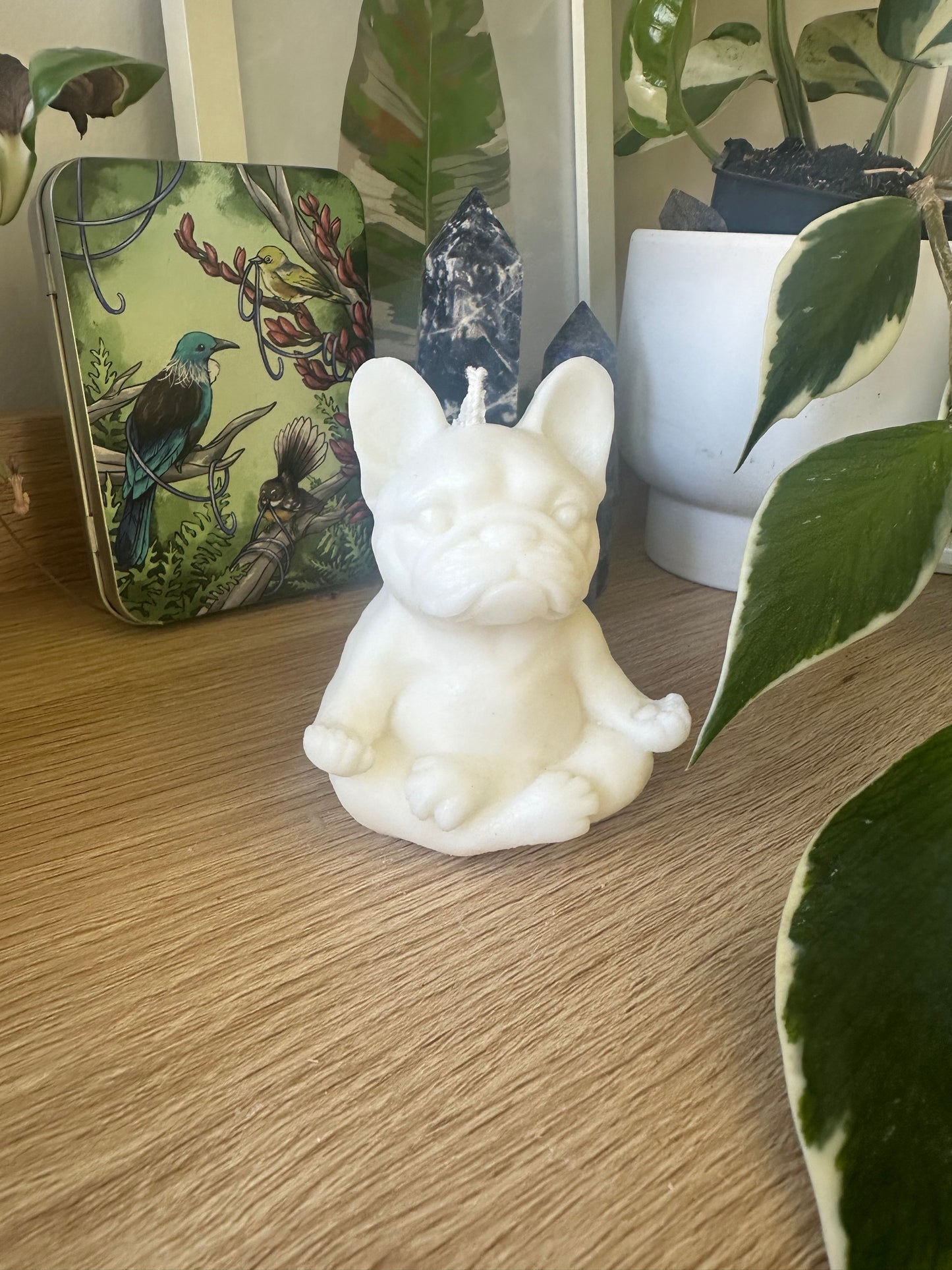 Meditating Frenchie