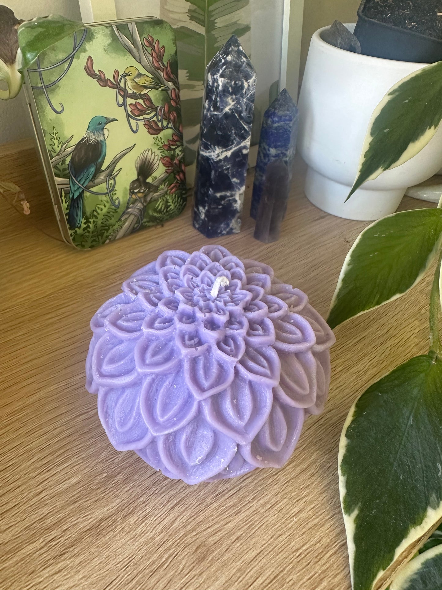 Dahlia ball