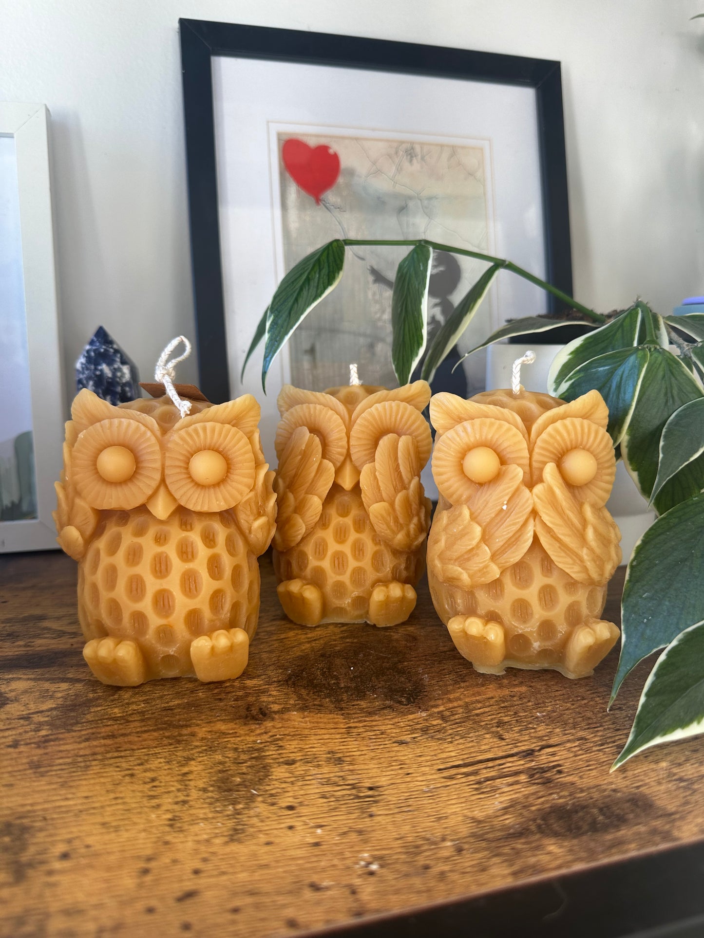 Set of owls