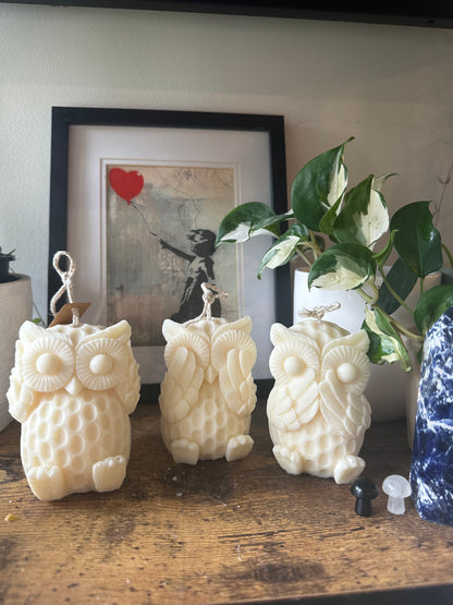 Set of owls