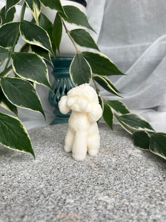 Caboodle Dog,