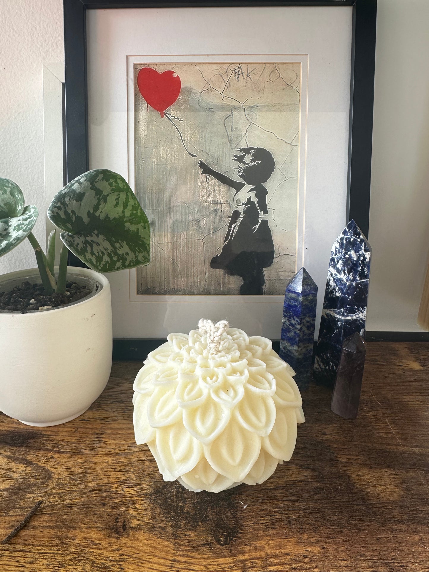 Dahlia ball