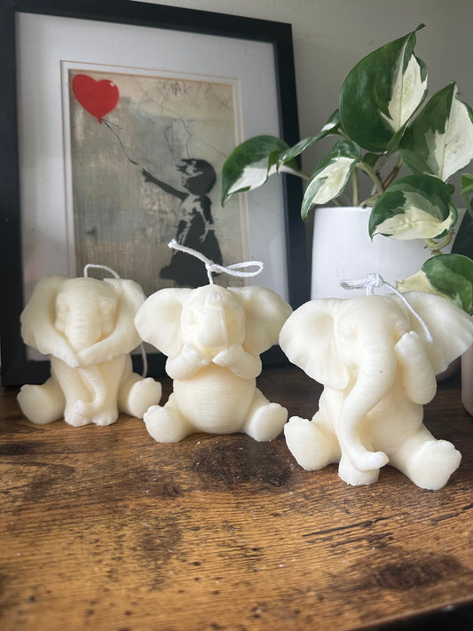 Set of Elephants