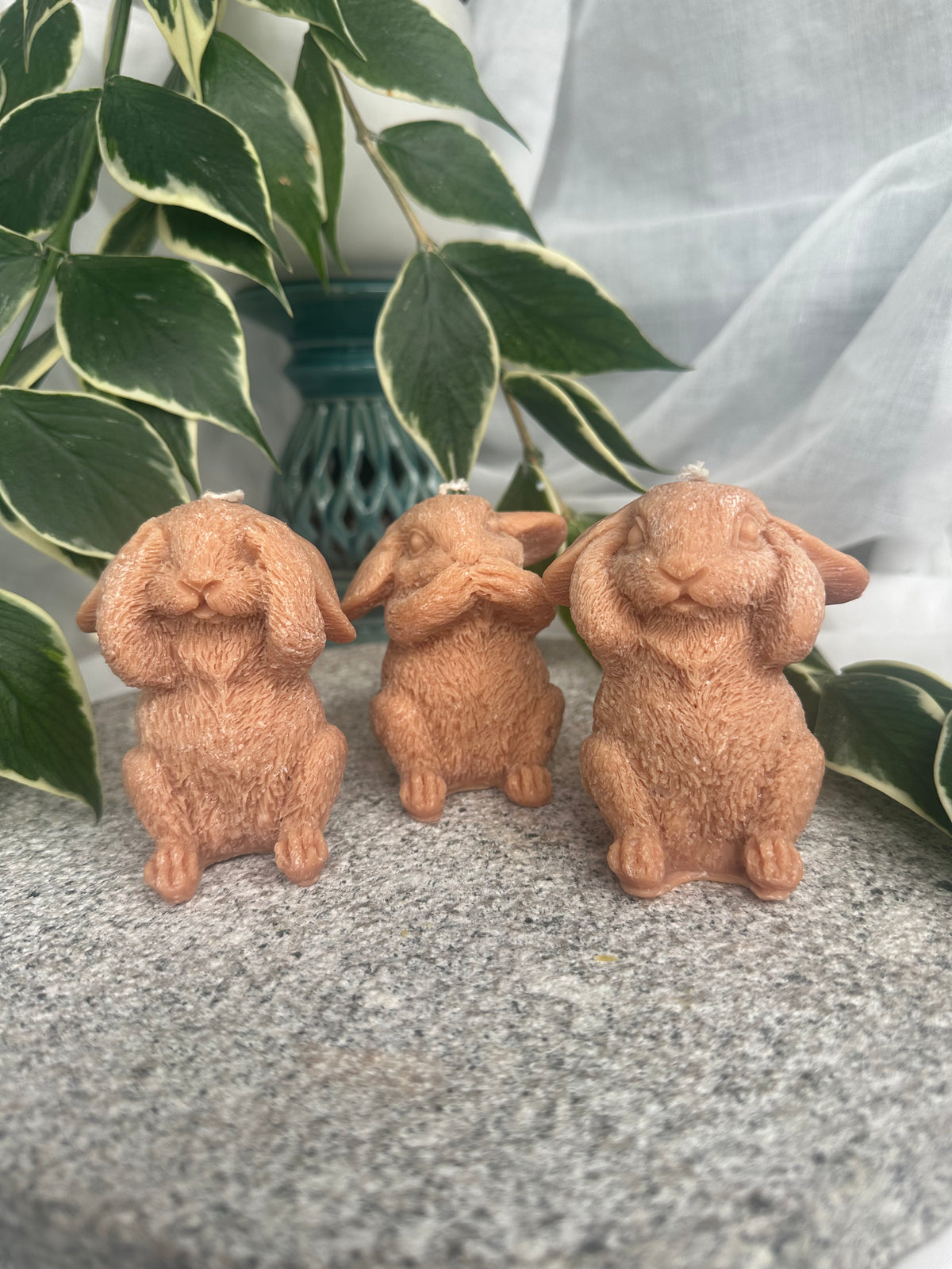 Set of 3 bunnies