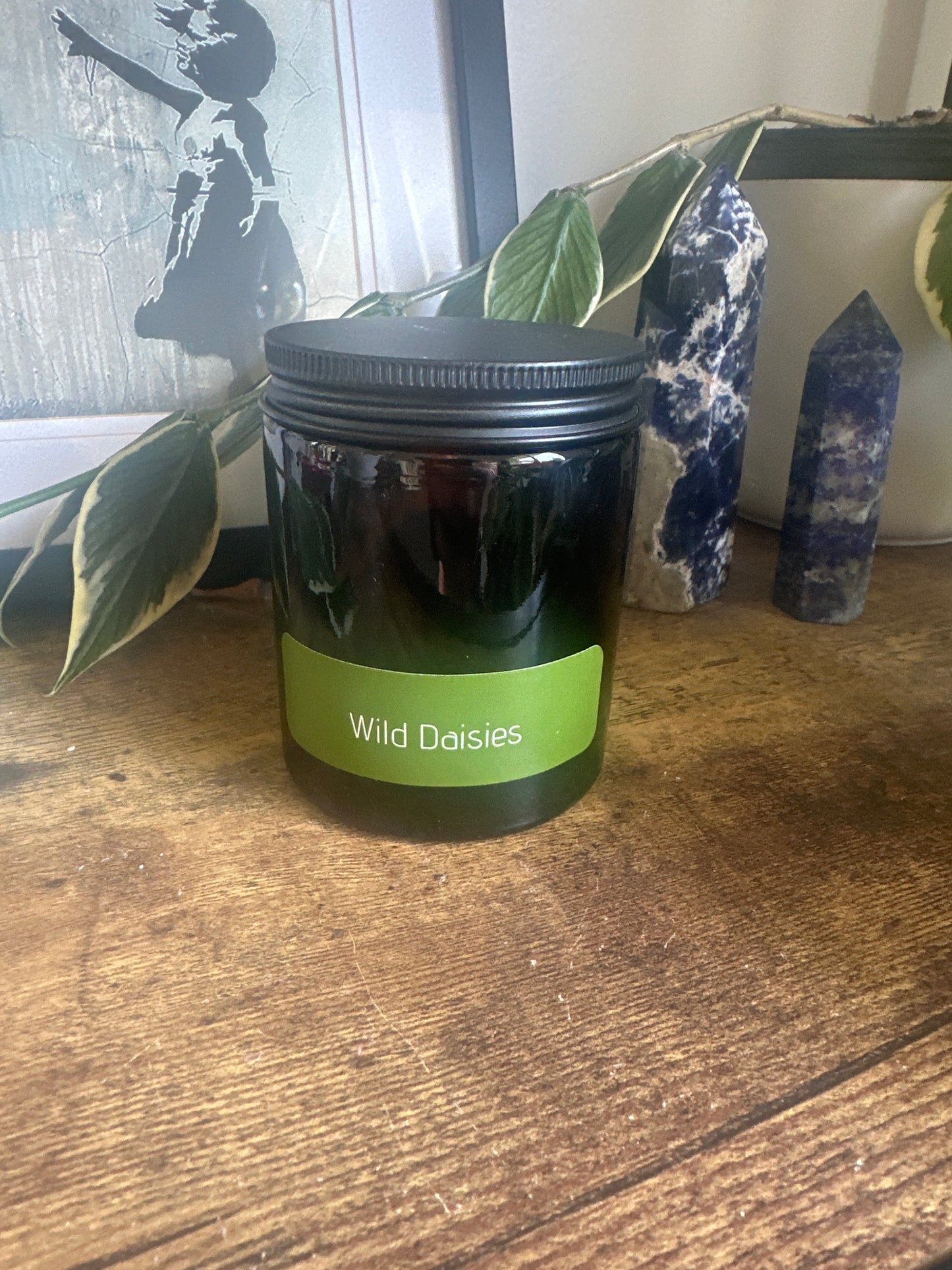 Wild Daisies