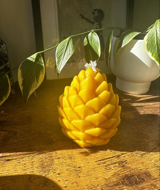 Beeswax pinecone, large