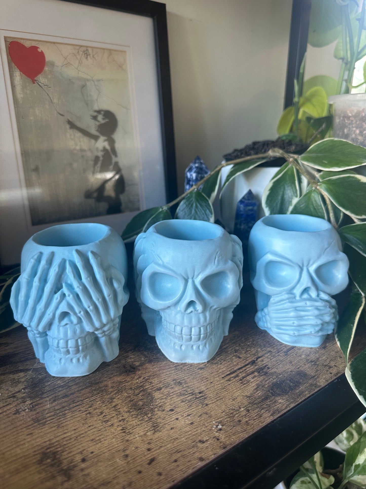 Set of Skulls