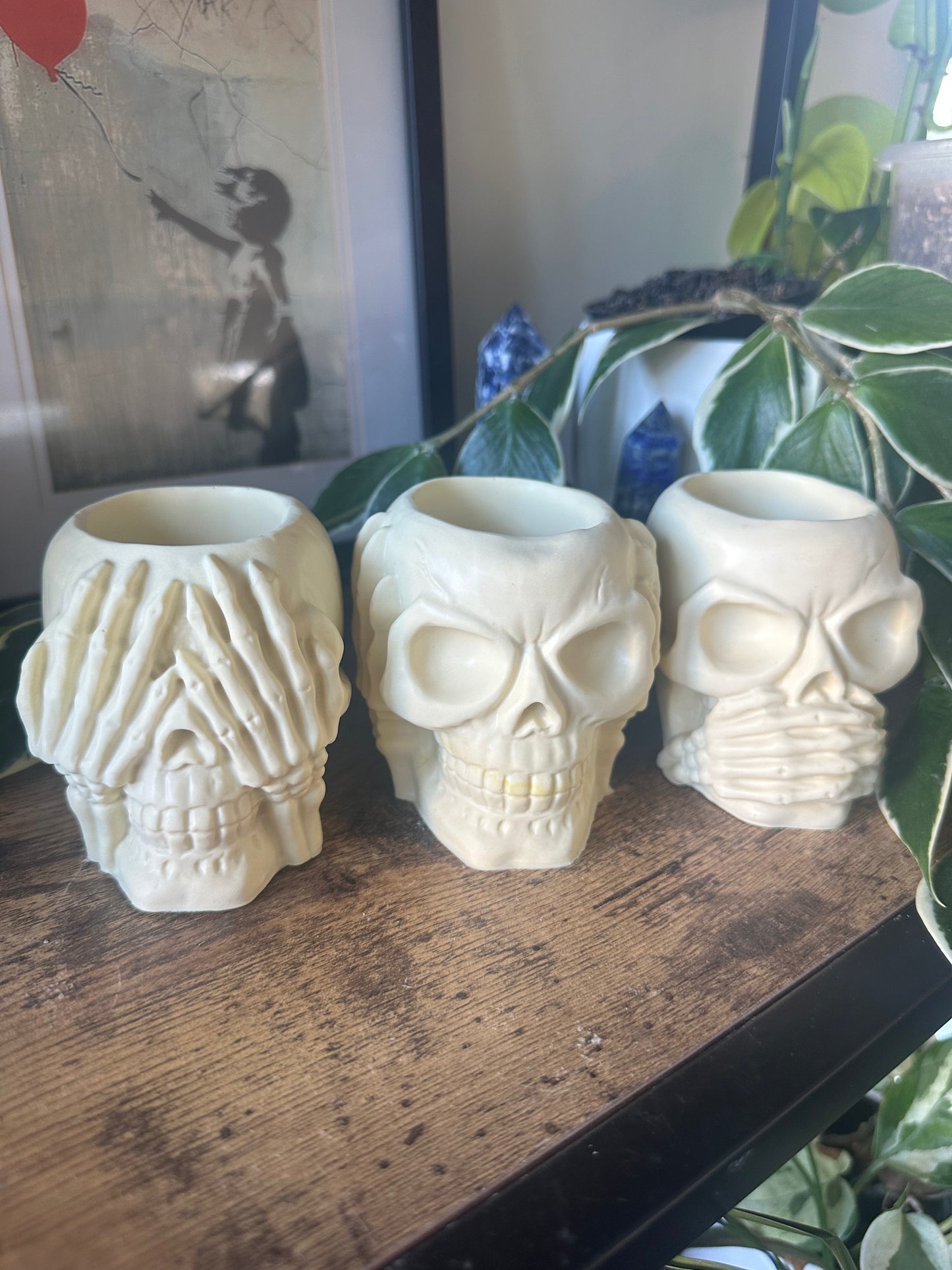 Set of Skulls