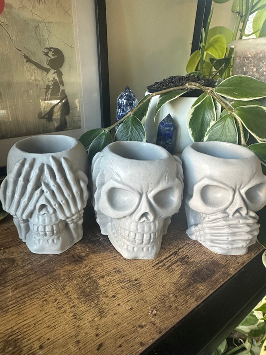 Set of Skulls