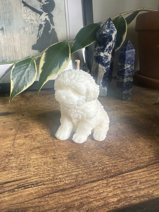 Caboodle, mini
