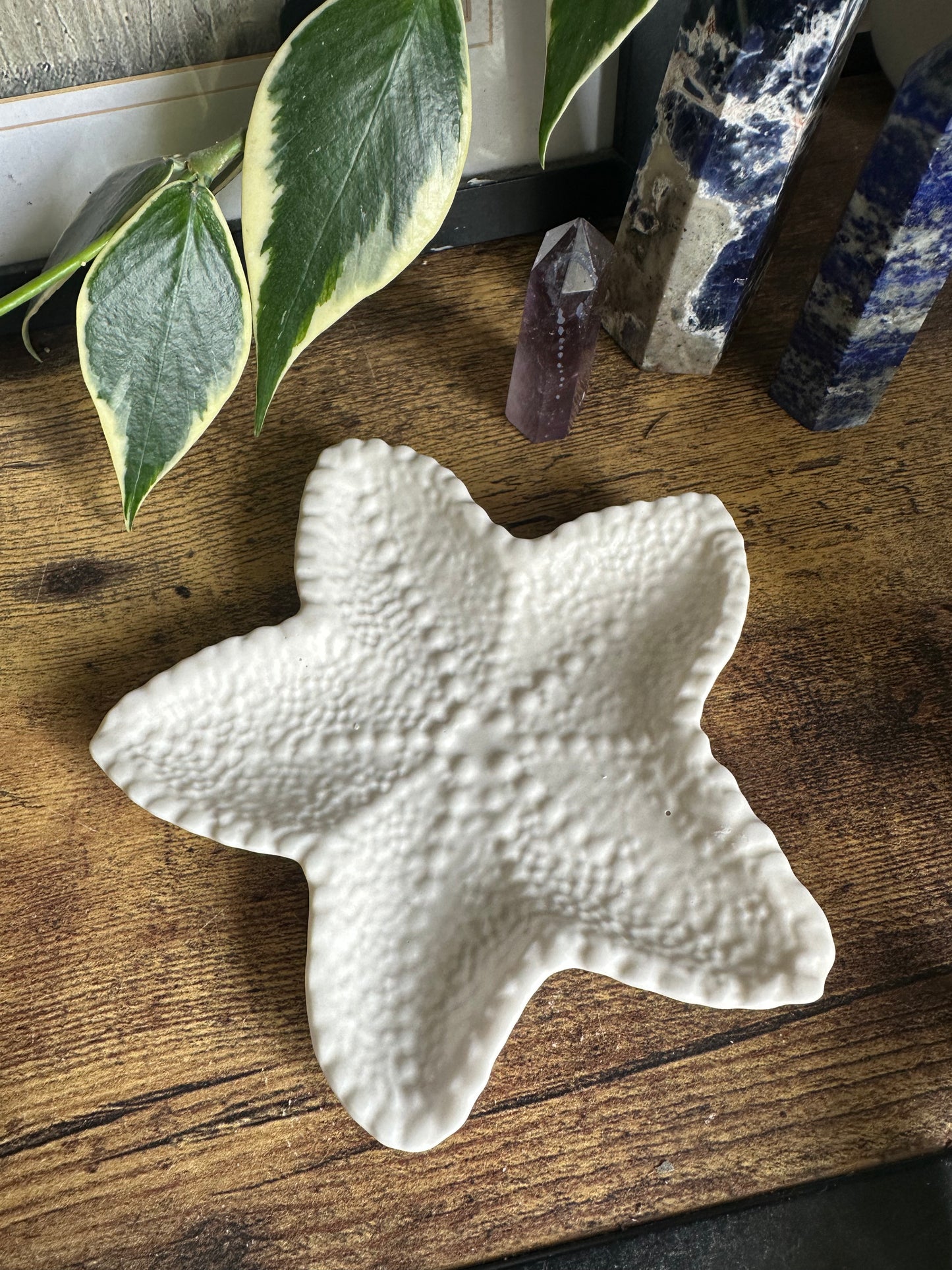 Starfish trinket