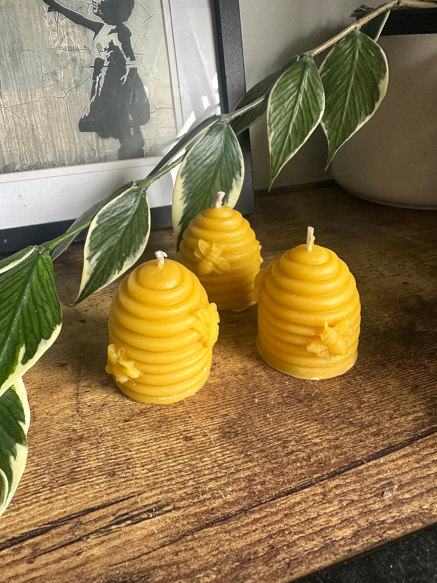 Mini beehives