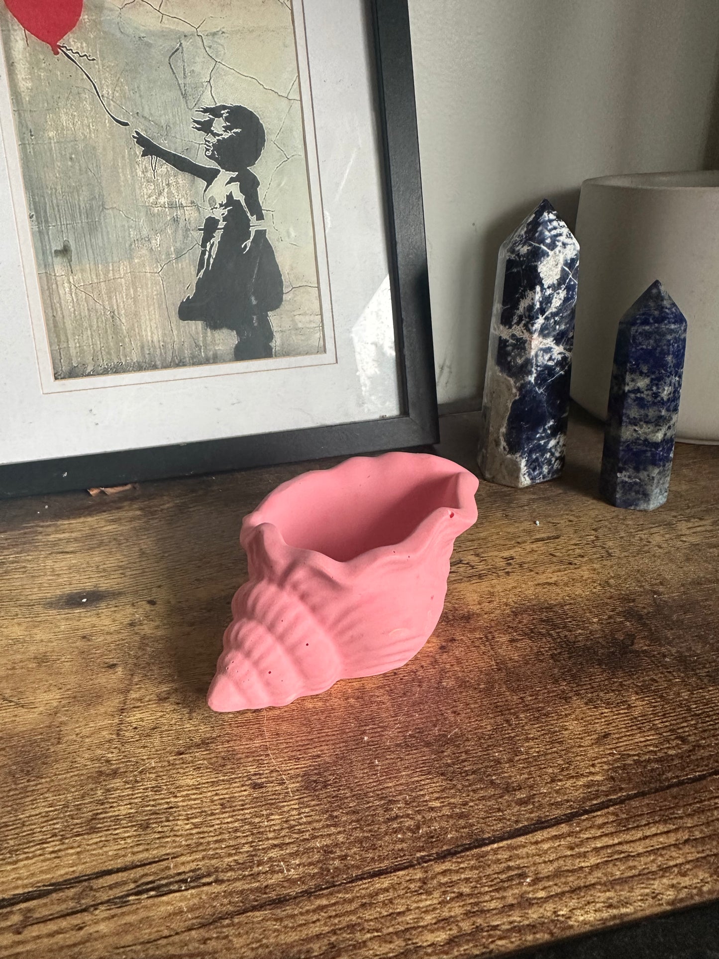 Conch shells
