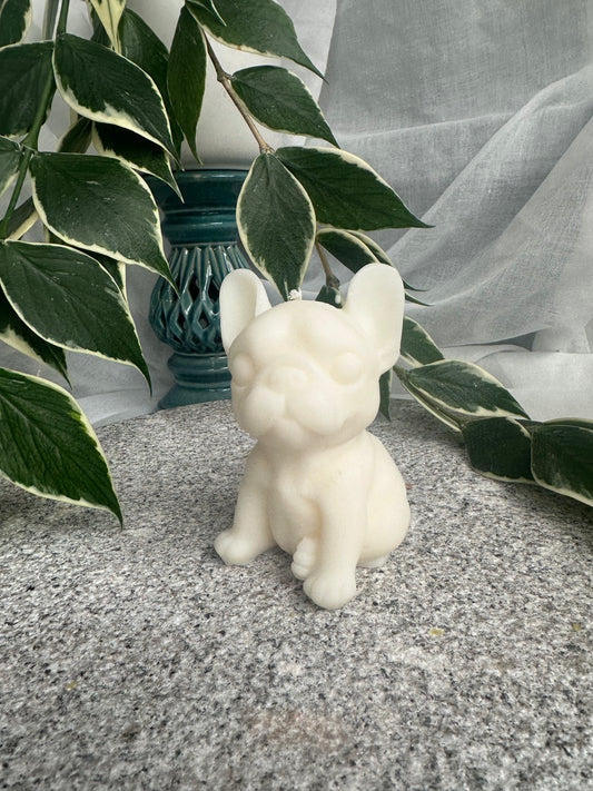 French bulldog