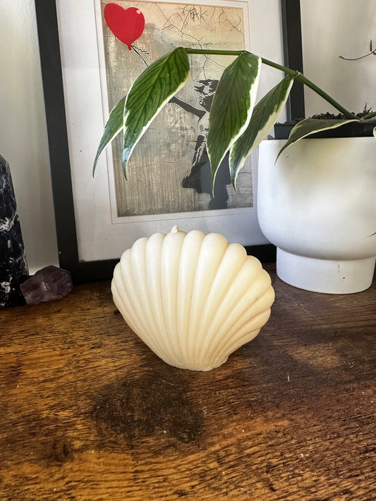 Shell, Large