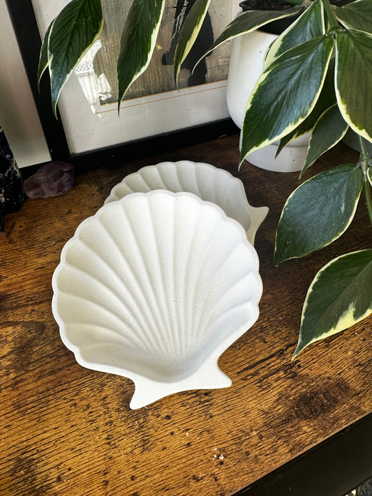 Scallop Trinket Dish