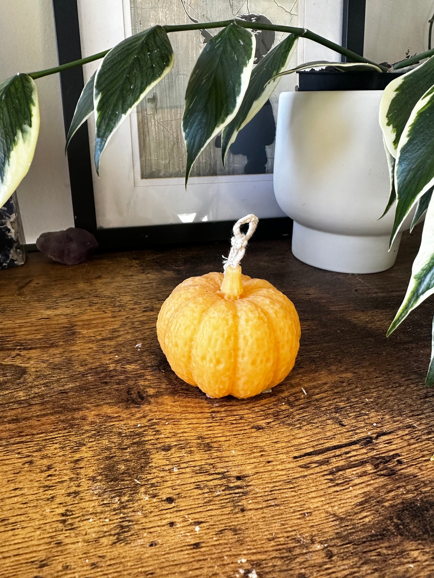 Pumpkin mini