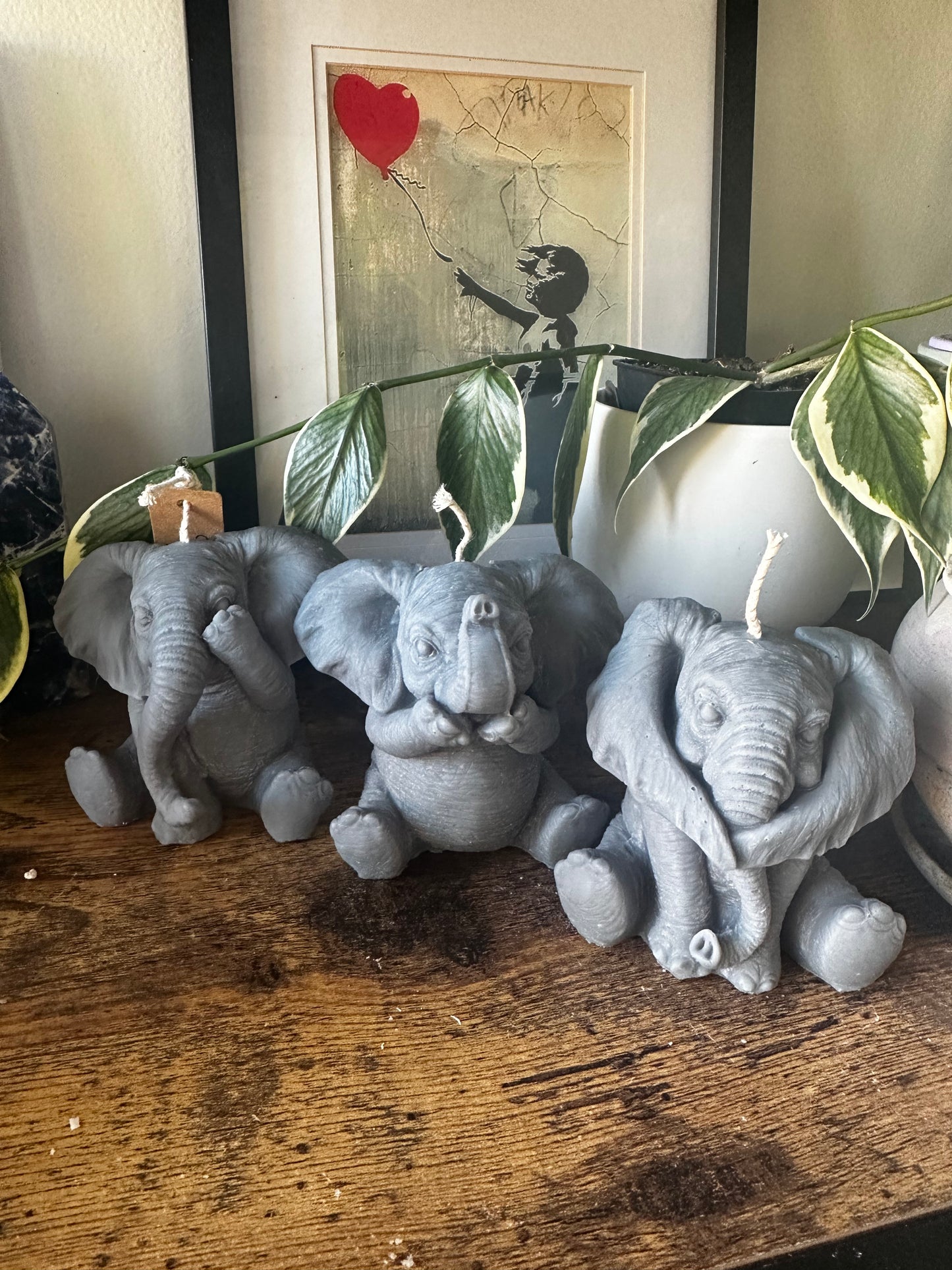 Set of Elephants