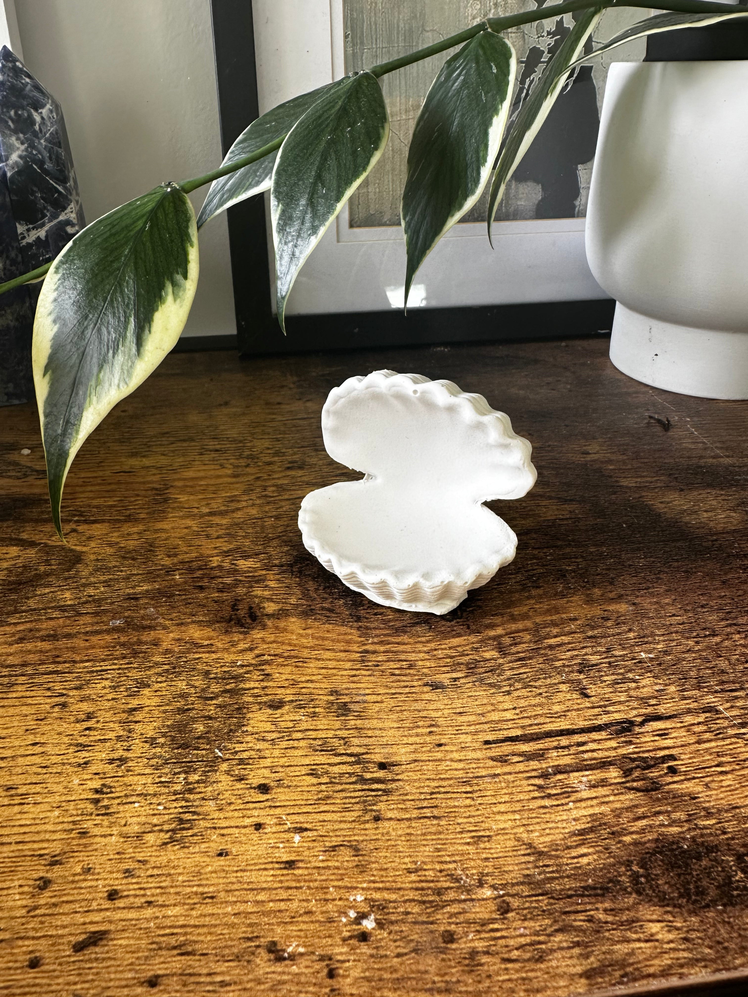 Small Calm Shell Small Clam Shell – Eleventh Hour Collection