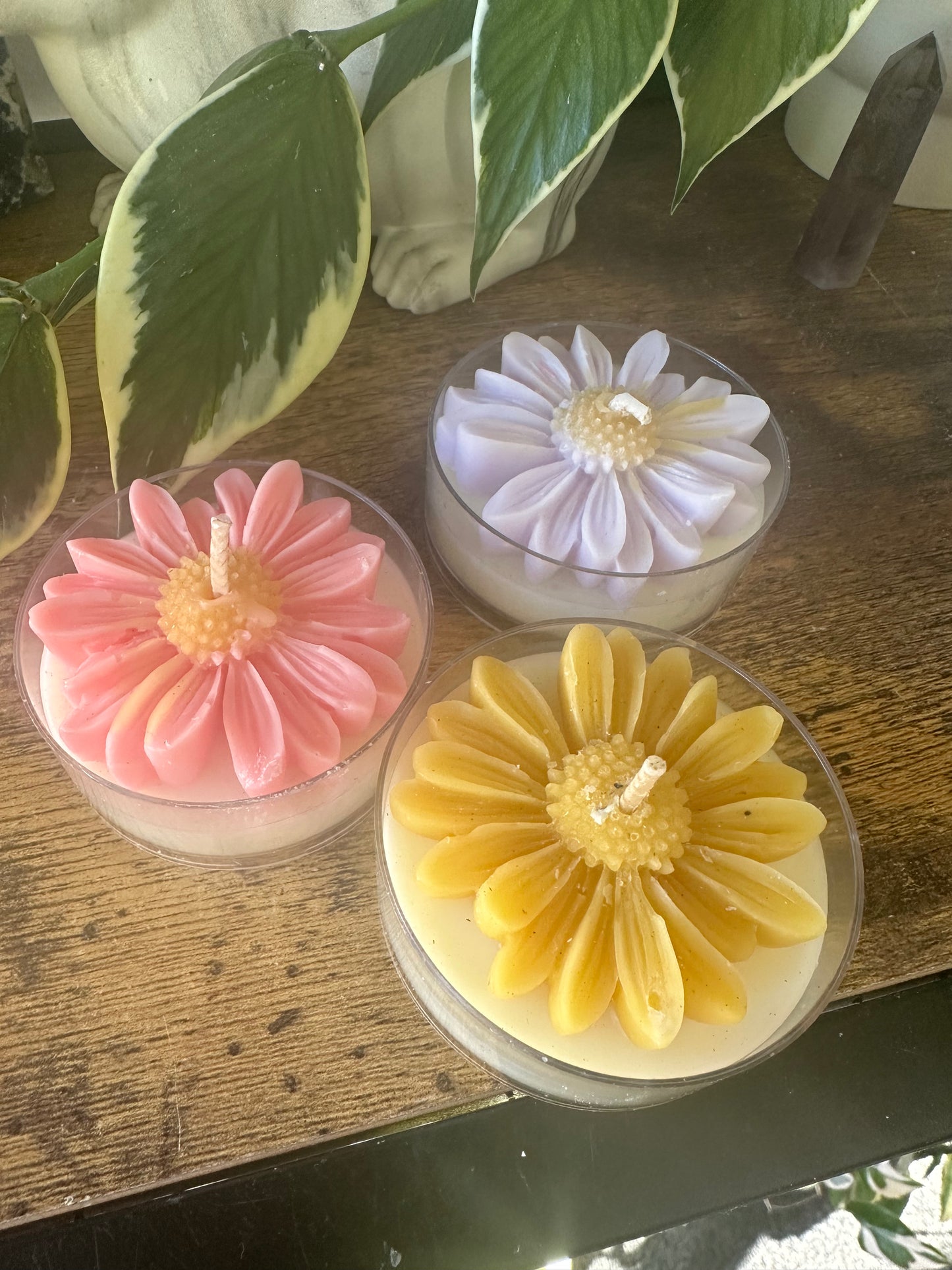 Large tealights