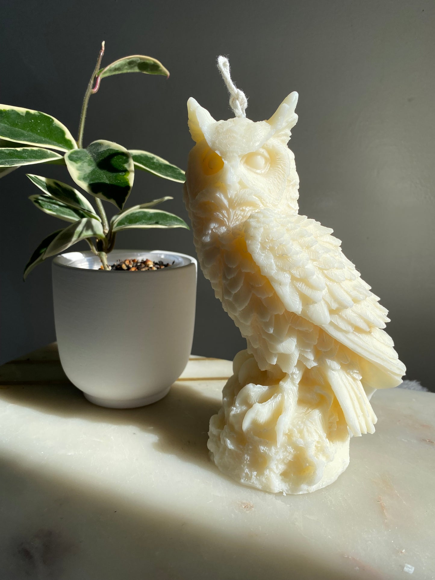Owl, Large