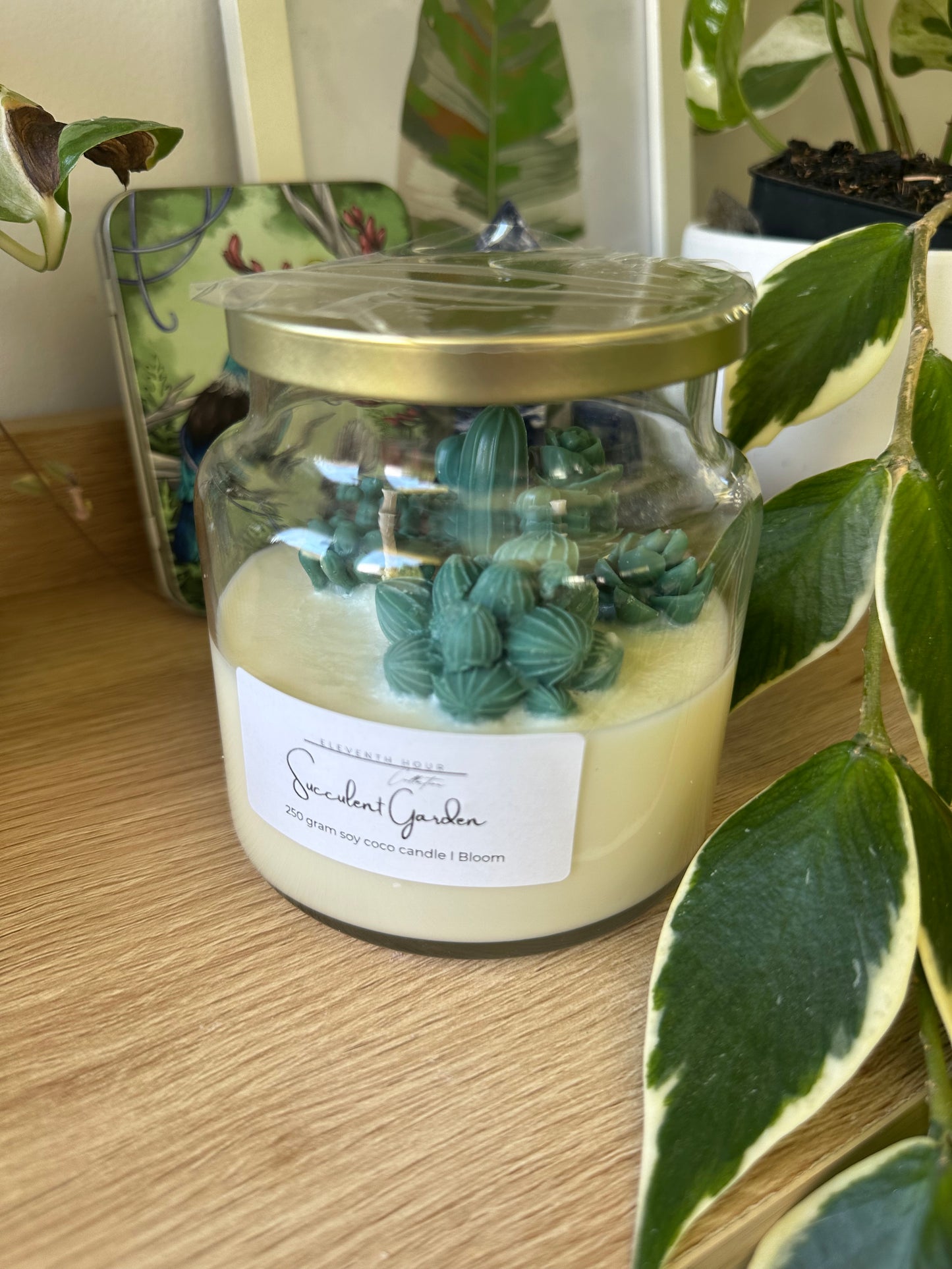 Succulent Candles