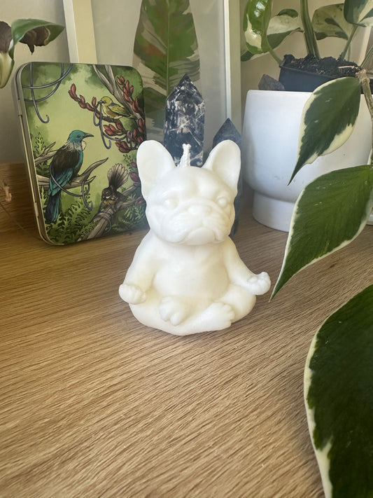 Meditating Frenchie
